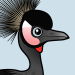 Black Crowned-Crane