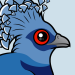 Victoria Crowned Pigeon