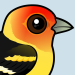 Western Tanager