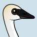 Trumpeter Swan