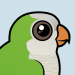 Monk Parakeet