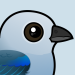 Blue-gray Tanager