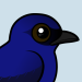 Purple Martin