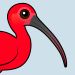 Scarlet Ibis