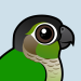 Green-cheeked Parakeet
