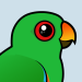 Eclectus Parrot