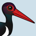 Black Stork
