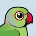 Rose-ringed Parakeet