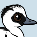 Smew