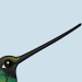 Sword-billed Hummingbird