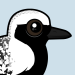 Black-bellied Plover