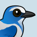 Florida Scrub-Jay