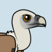Eurasian Griffon