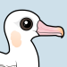 Wandering Albatross