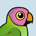 Blossom-headed Parakeet