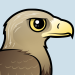 White-tailed Eagle