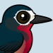 Puerto Rican Woodpecker