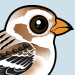 Snow Bunting