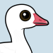 Snow Goose