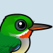 Puerto Rican Tody