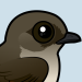 Northern Rough-winged Swallow