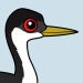 Western Grebe