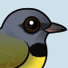 Mourning Warbler