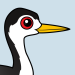 Clark's Grebe