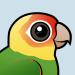 Carolina Parakeet