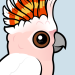 Pink Cockatoo