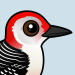 Red-bellied Woodpecker