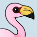 James's Flamingo