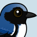 Black-throated Blue Warbler