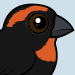 Puerto Rican Bullfinch