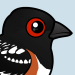 Spotted Towhee