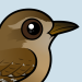 Eurasian Wren