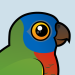 Saint Lucia Parrot