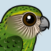 Kakapo