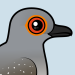 Diamond Dove