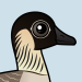 Hawaiian Goose
