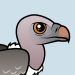 Rueppell's Vulture