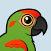 Red-fronted Macaw
