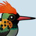 Tufted Coquette