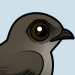 Chimney Swift