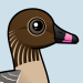 Pink-footed Goose