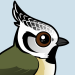 Crested Tit