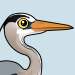 Great Blue Heron