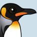 King Penguin