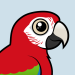 Green-winged Macaw