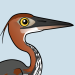 Goliath Heron